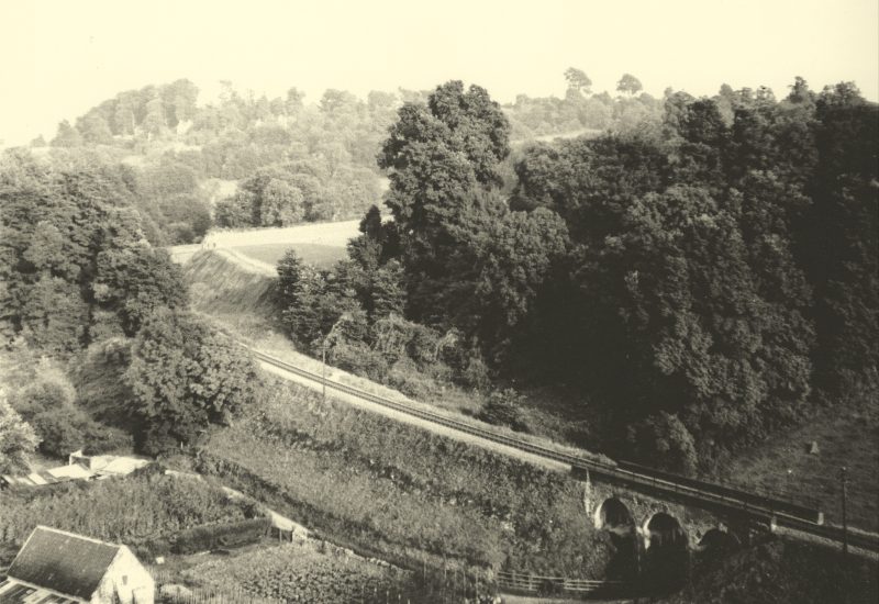 Lyncombe Vale