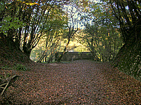 Tucking Mill Viaduct