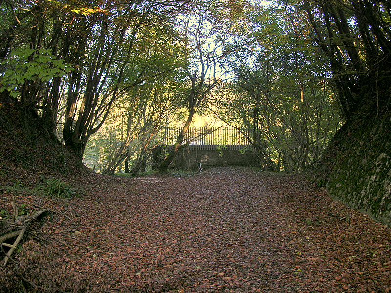 Tucking Mill Viaduct