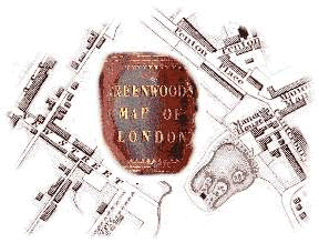 Illustration made of elements from the map