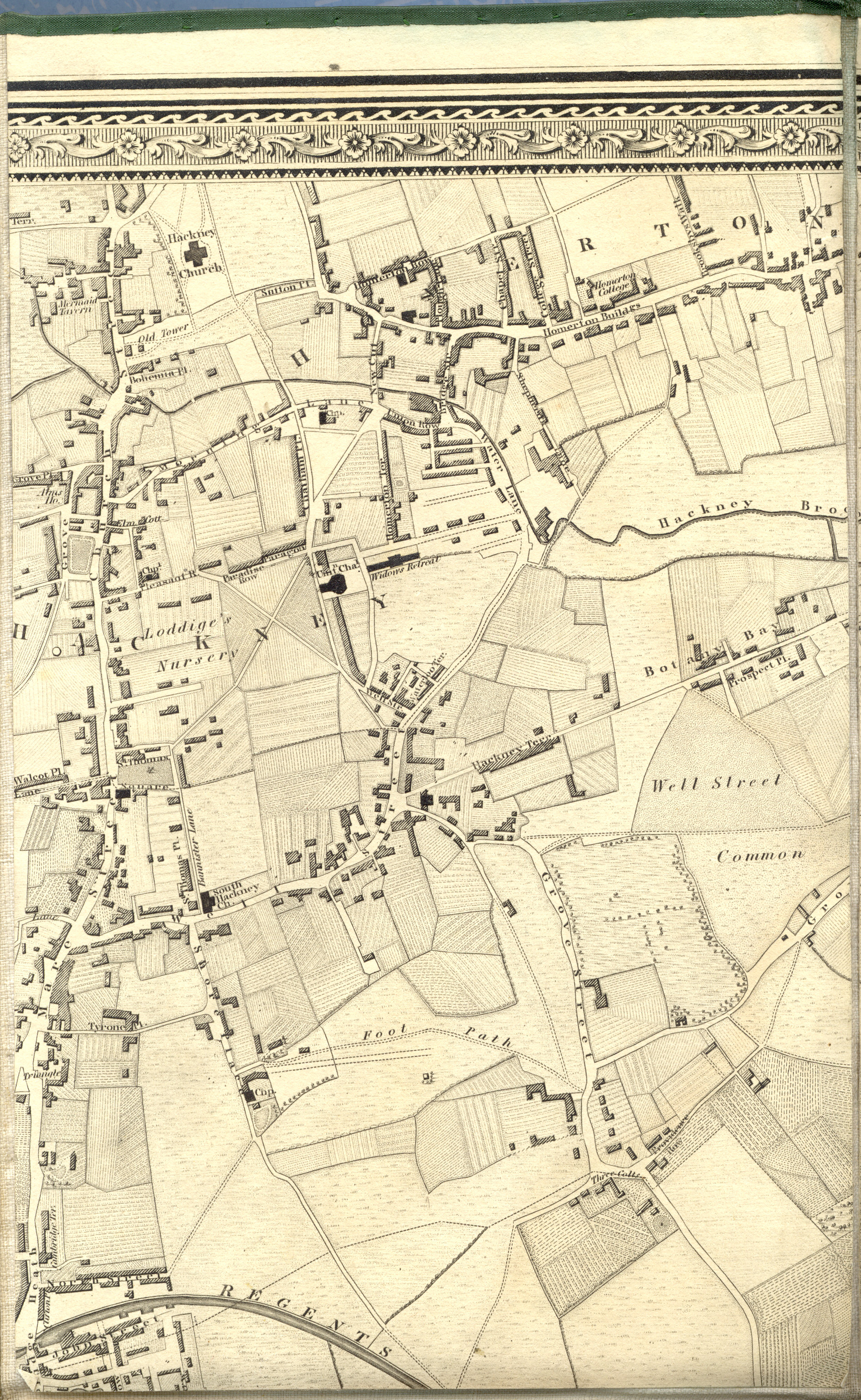 Image of map panel at maximum zoom.