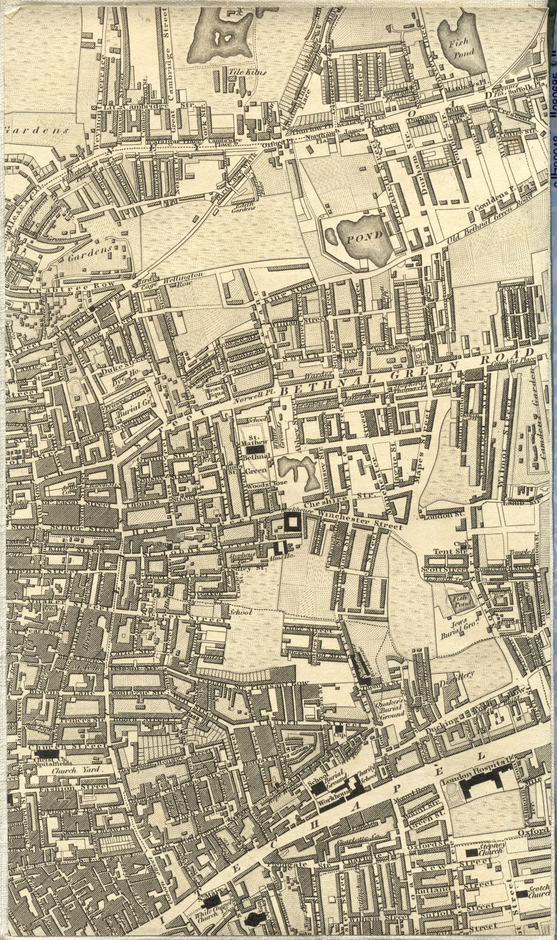 Image of map panel at maximum zoom.