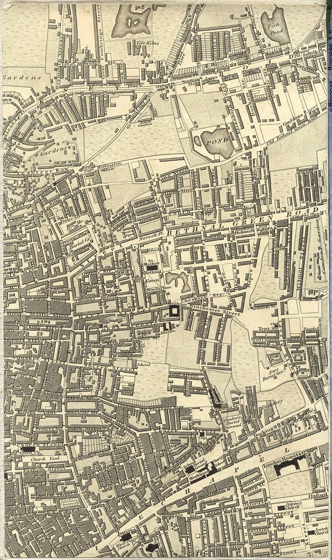 Image of map panel at high zoom.