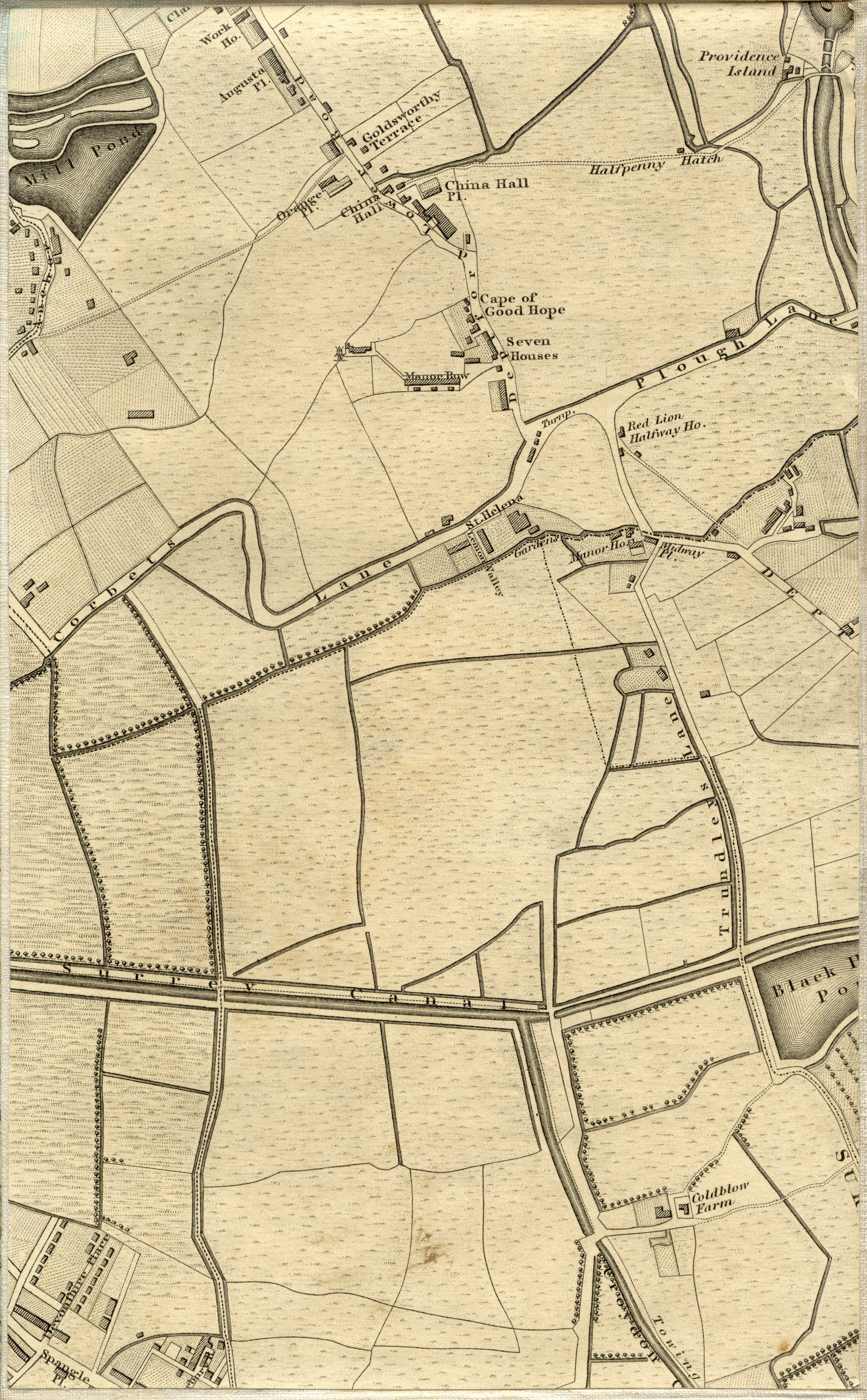 Image of map panel at maximum zoom.